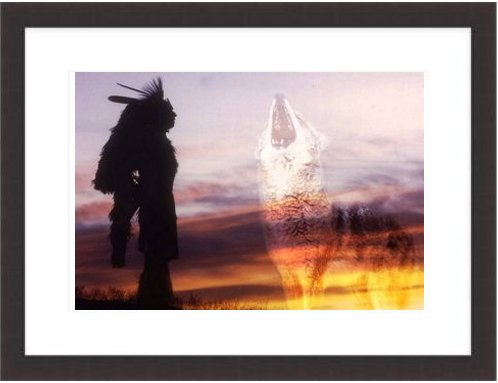 North American Indian Framed Print